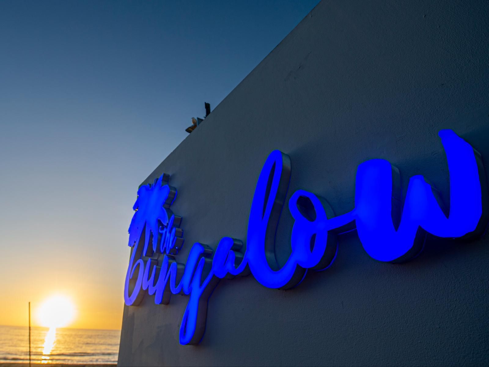 The Bungalow By Raw Africa Collection, Beach, Nature, Sand, Neon Light