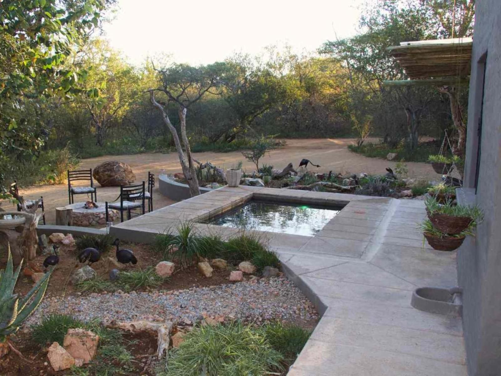 The Bush House Hoedspruit Limpopo Province South Africa Plant, Nature, Garden, Swimming Pool