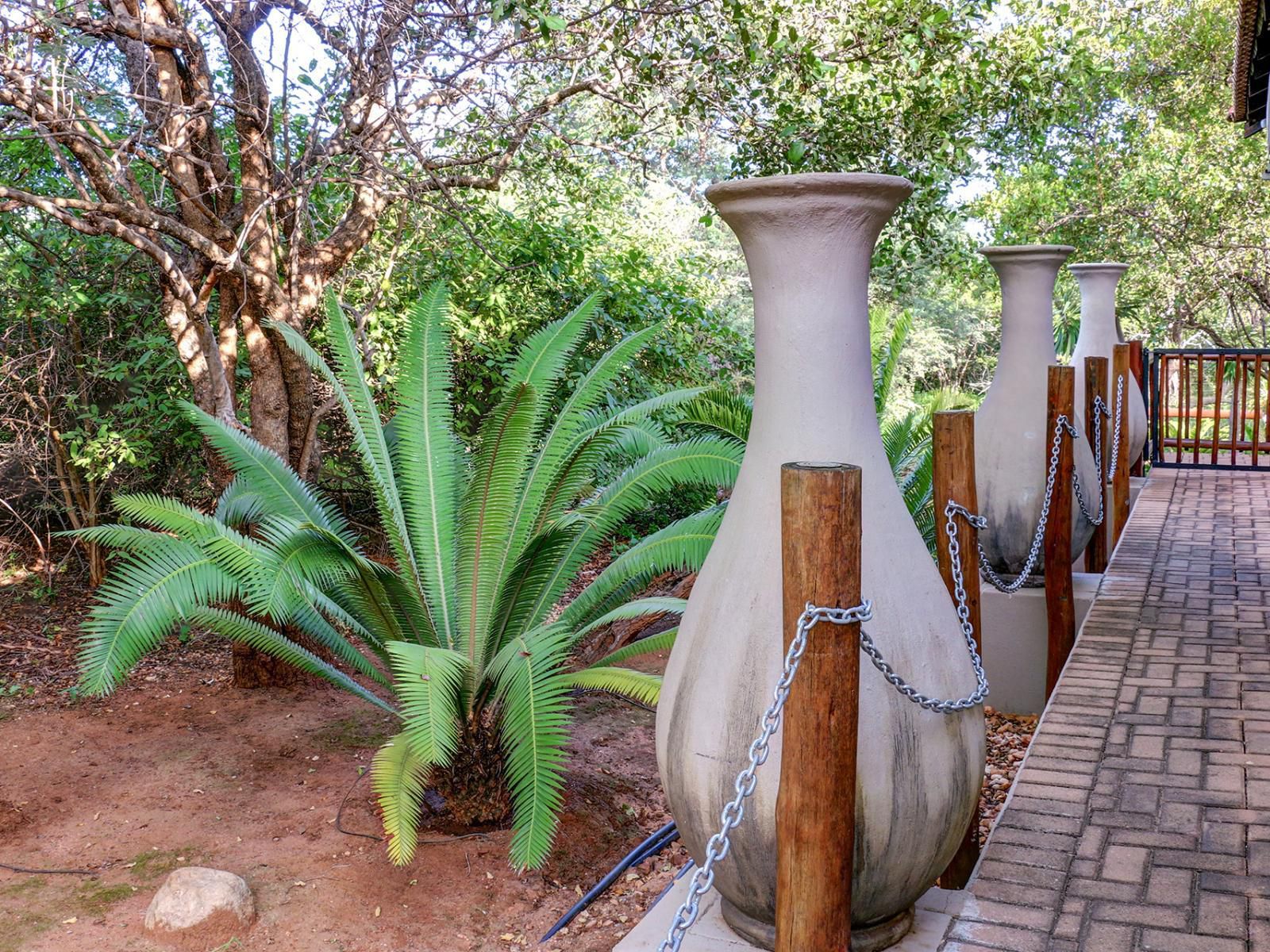 The Bushbabies Elite Lodge Hoedspruit Limpopo Province South Africa Palm Tree, Plant, Nature, Wood, Garden