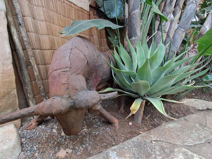 The Clay Pot Faerie Glen Nature Reserve Pretoria Tshwane Gauteng South Africa Cactus, Plant, Nature, Pineapple, Fruit, Food