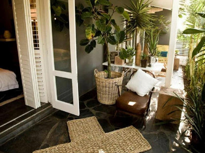 The Concierge Boutique Bungalows Greyville Durban Kwazulu Natal South Africa Garden, Nature, Plant, Living Room