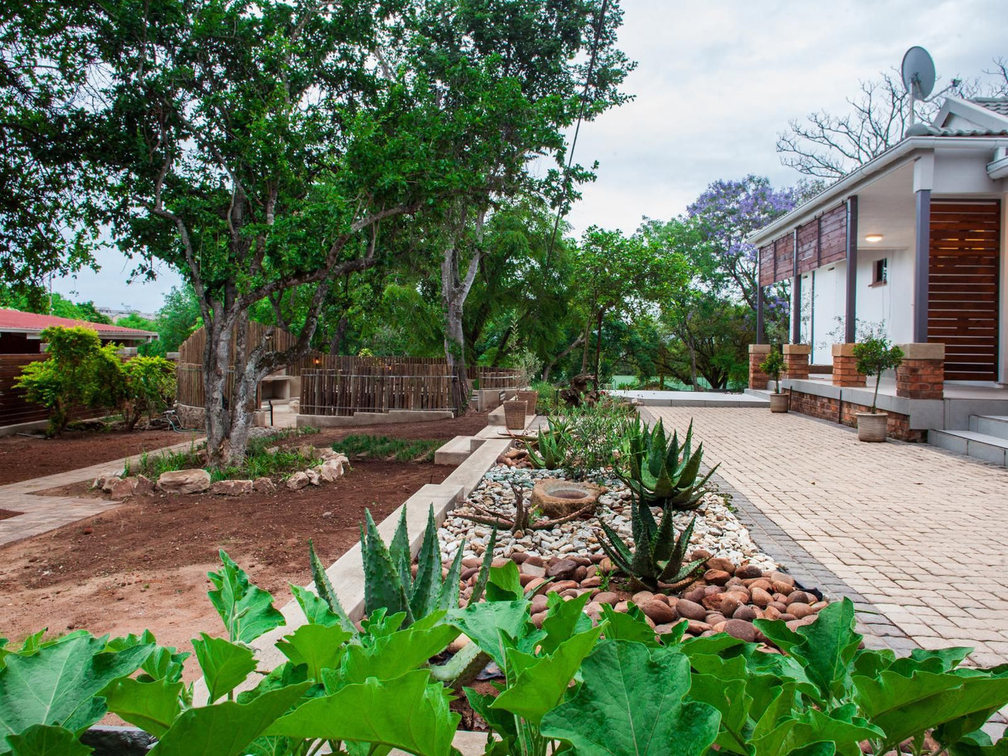 The Coral Tree Guesthouse Nelspruit Mpumalanga South Africa 