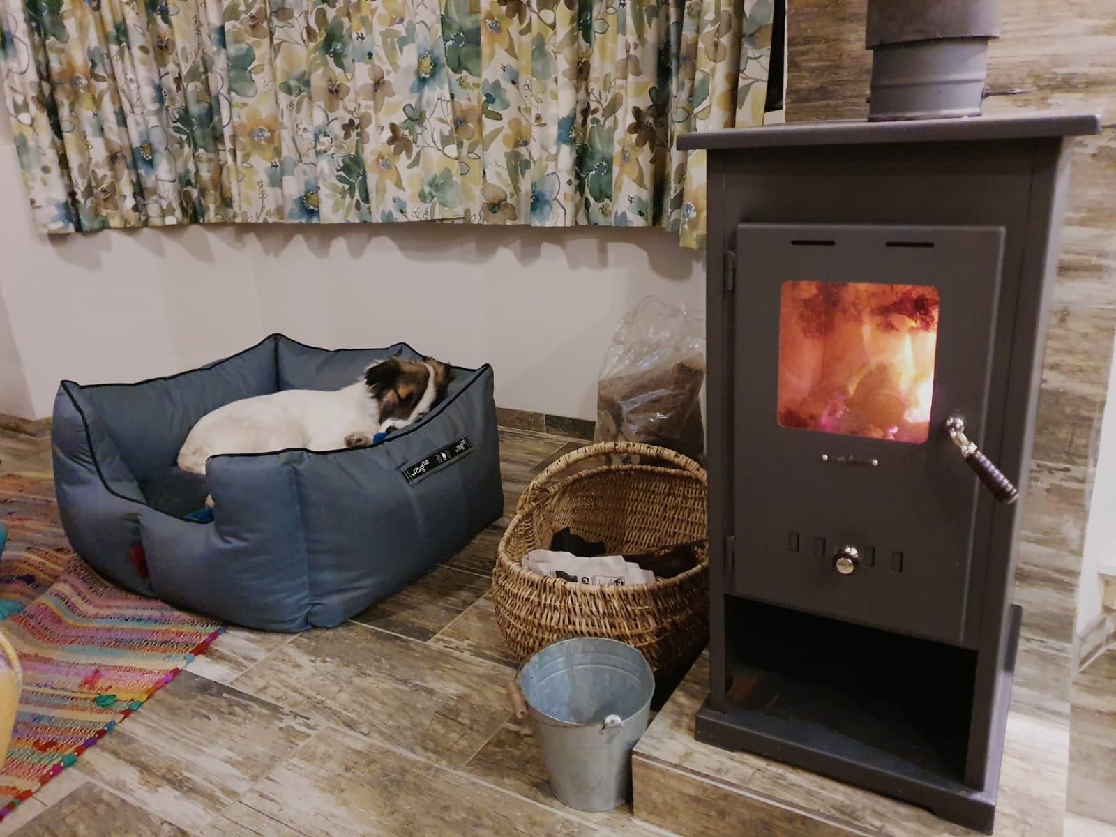 The Corner House Sa, Dog, Mammal, Animal, Pet, Fire, Nature, Fireplace