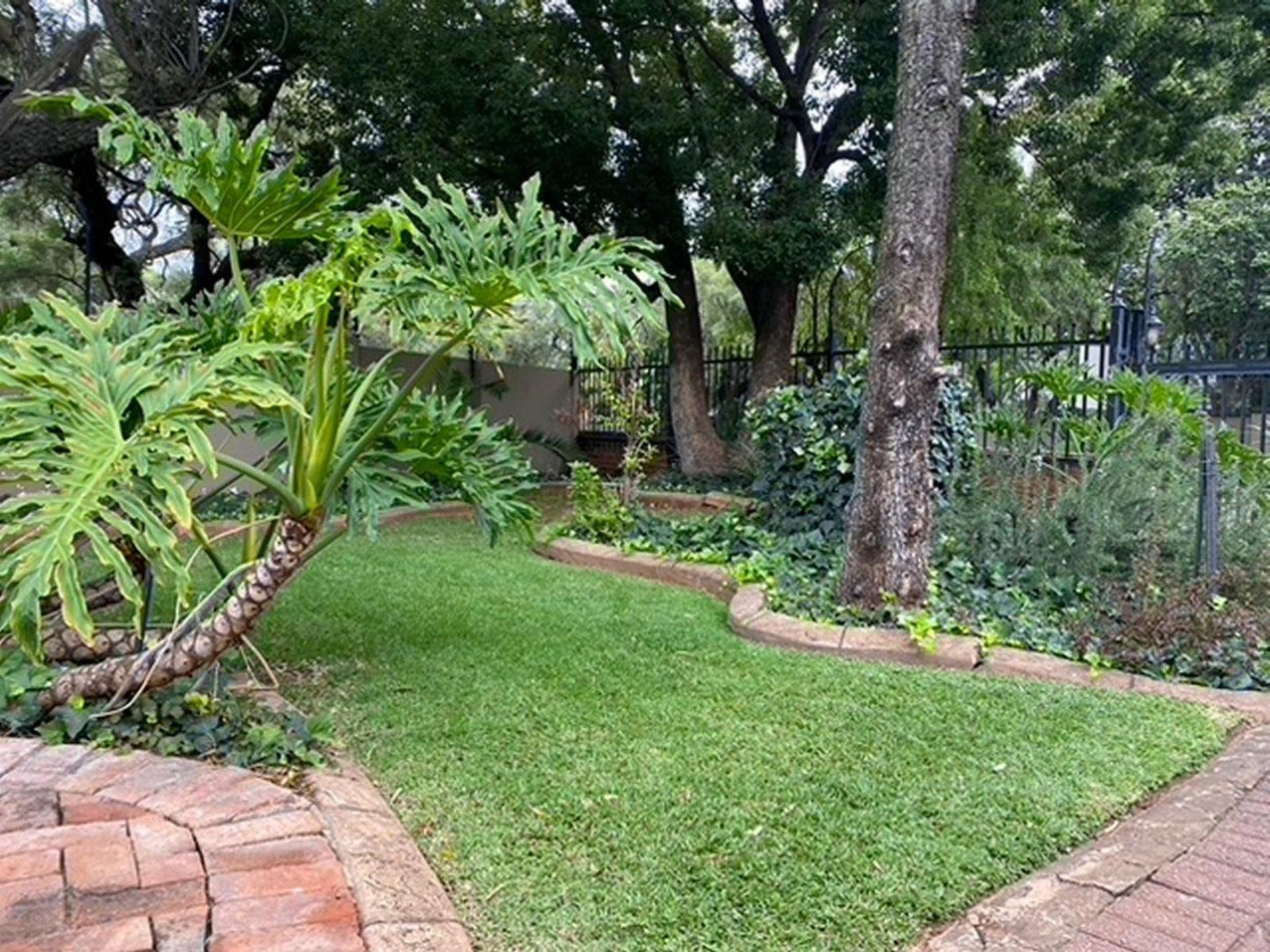 The Cottage At 152 Wierda Park Centurion Gauteng South Africa Palm Tree, Plant, Nature, Wood, Garden