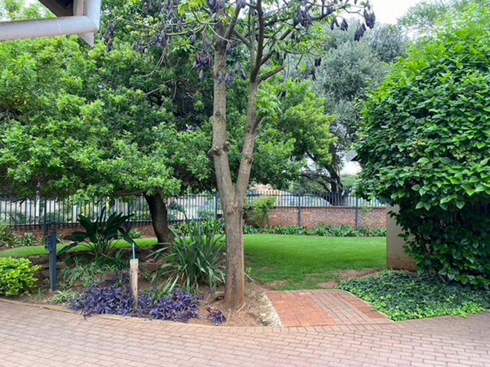 The Cottage At 152 Wierda Park Centurion Gauteng South Africa House, Building, Architecture, Palm Tree, Plant, Nature, Wood, Garden