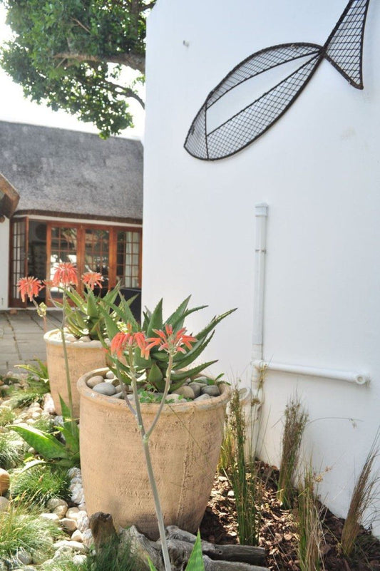Cottage On College The Cottage 2 Sleeper St Francis Bay Eastern Cape South Africa House, Building, Architecture, Garden, Nature, Plant