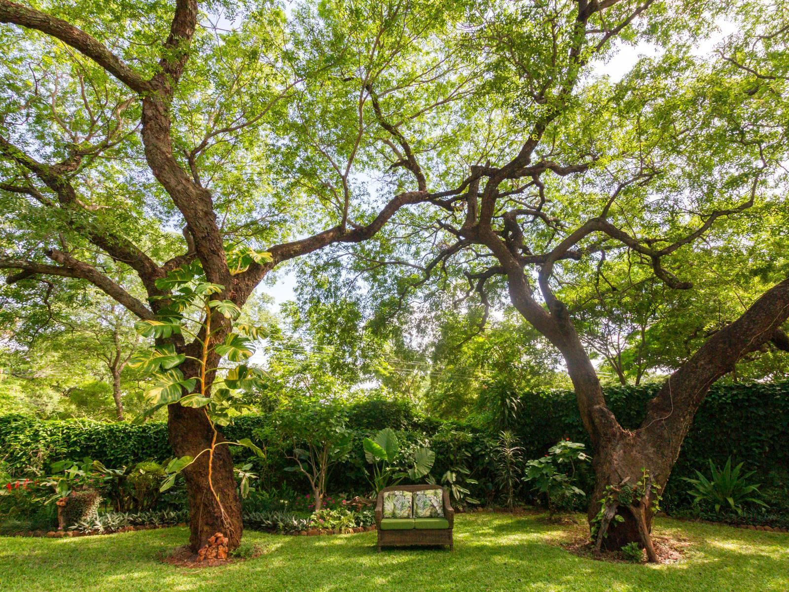 The Courtney Lodge, Plant, Nature, Tree, Wood, Garden