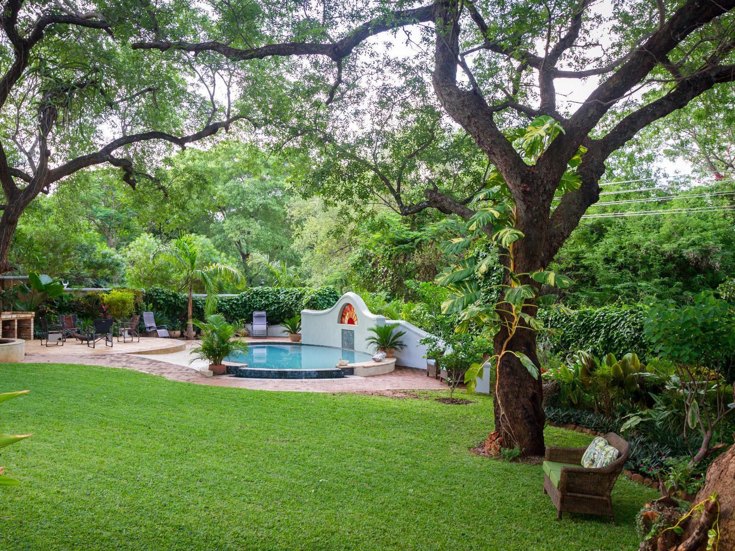 The Courtney Lodge, Palm Tree, Plant, Nature, Wood, Garden