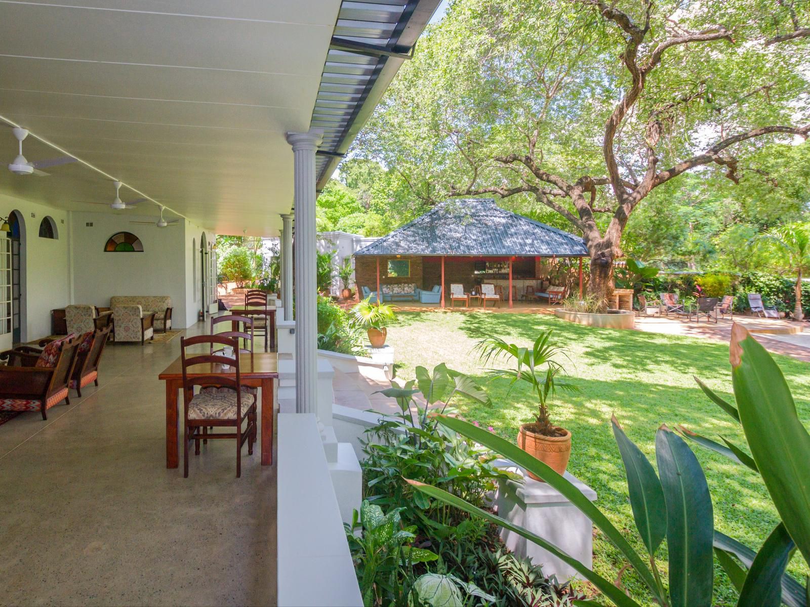 The Courtney Lodge, Palm Tree, Plant, Nature, Wood