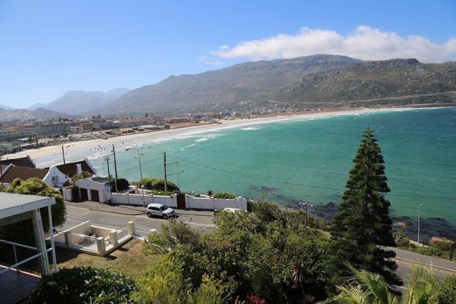 The Cove Sunnycove Cape Town Western Cape South Africa Beach, Nature, Sand, Palm Tree, Plant, Wood