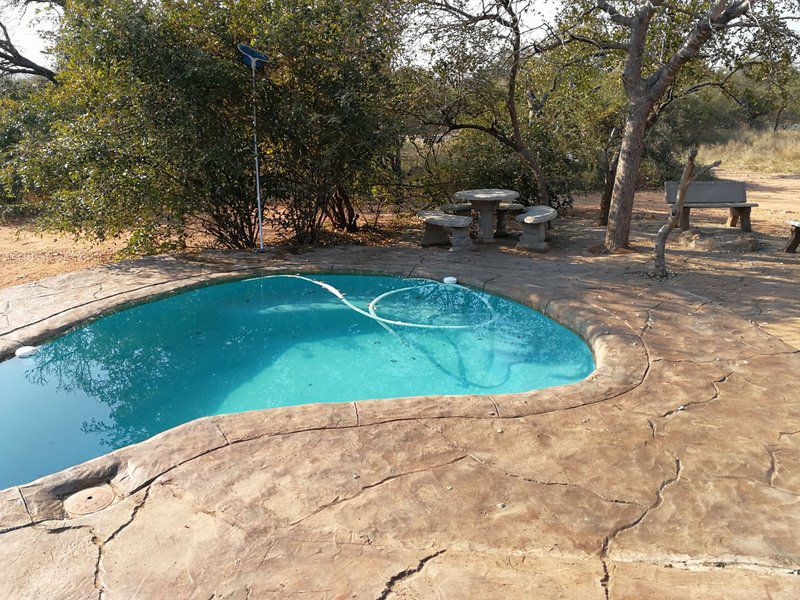 The Daniel Lo Marloth Park Mpumalanga South Africa Swimming Pool