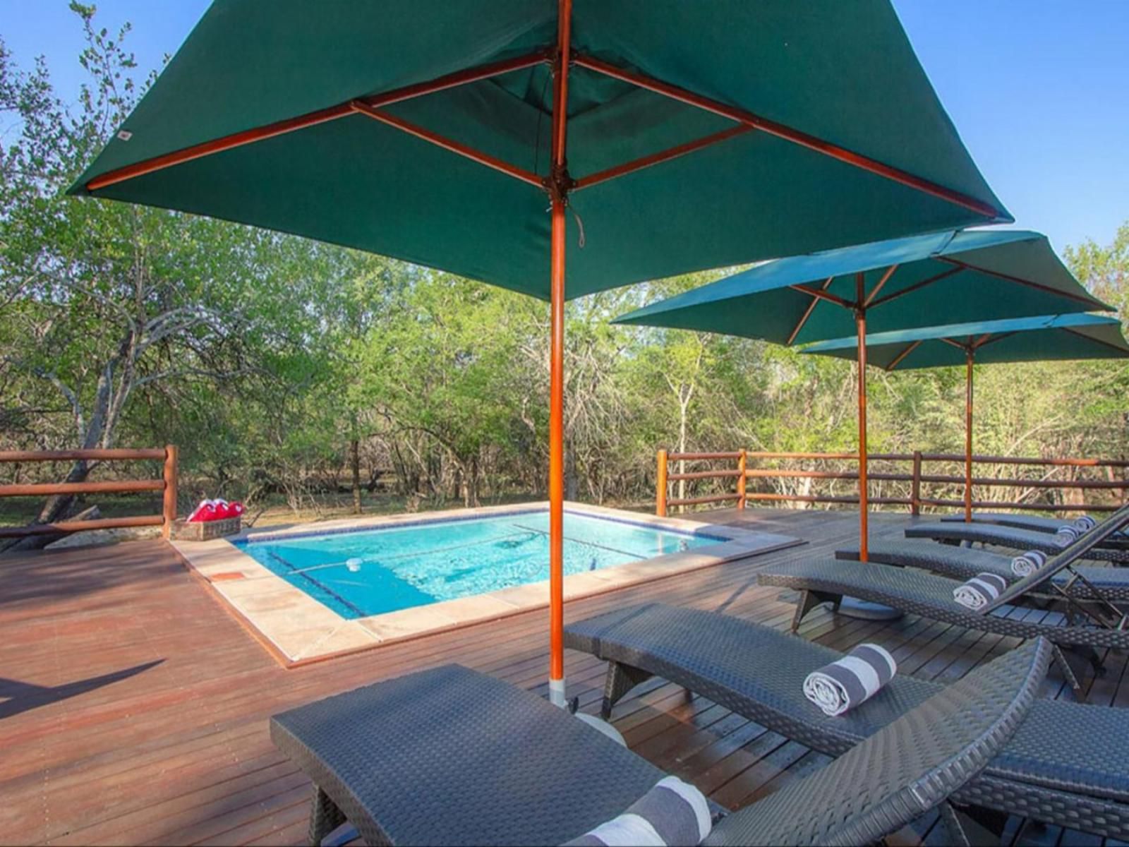 The Den At Kruger 3479 Marloth Park Mpumalanga South Africa Swimming Pool