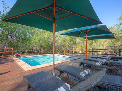 The Den At Kruger 3479 Marloth Park Mpumalanga South Africa Swimming Pool