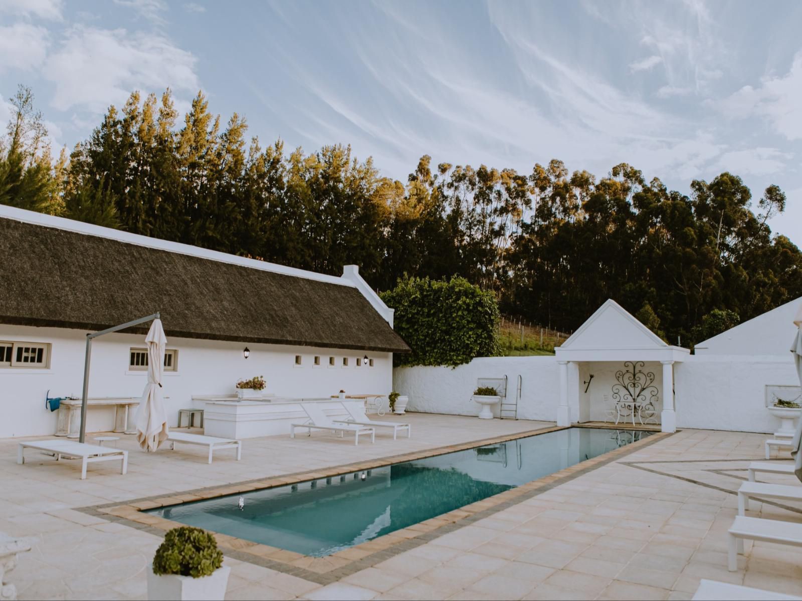 The Doolhof, House, Building, Architecture, Swimming Pool