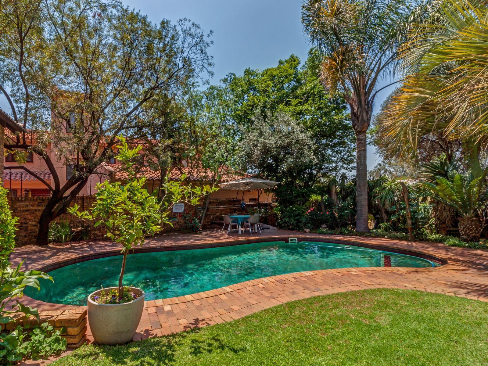 The Dorr Guest House Hurlingham Johannesburg Gauteng South Africa Plant, Nature, Garden, Swimming Pool