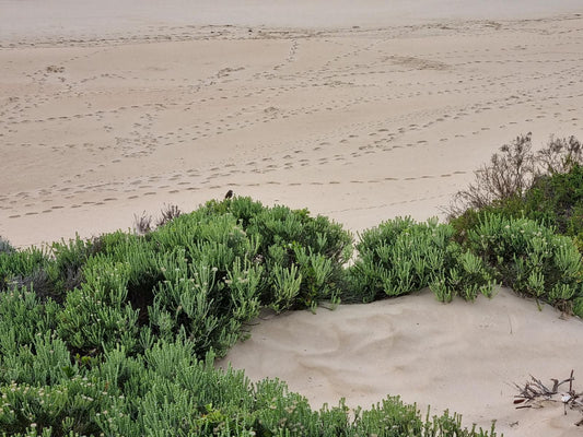 The Dunes Resort Unit 3 Keurboomstrand Keurboomstrand Western Cape South Africa Beach, Nature, Sand, Desert, Sand Texture, Texture