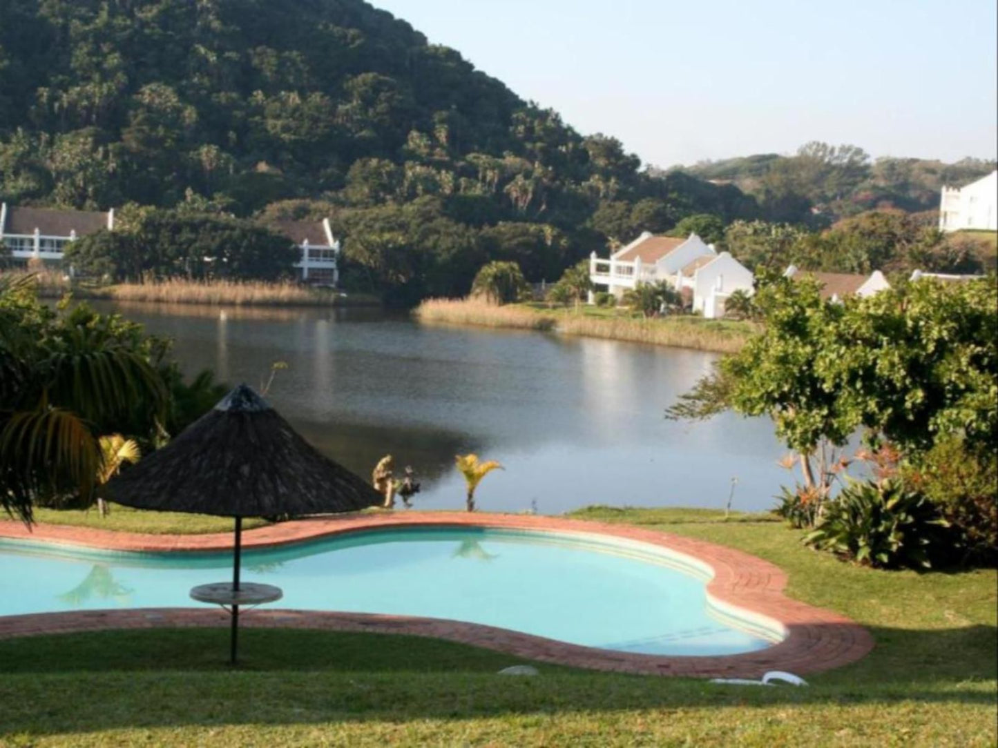 The Estuary Hotel & Spa, Palm Tree, Plant, Nature, Wood, Swimming Pool