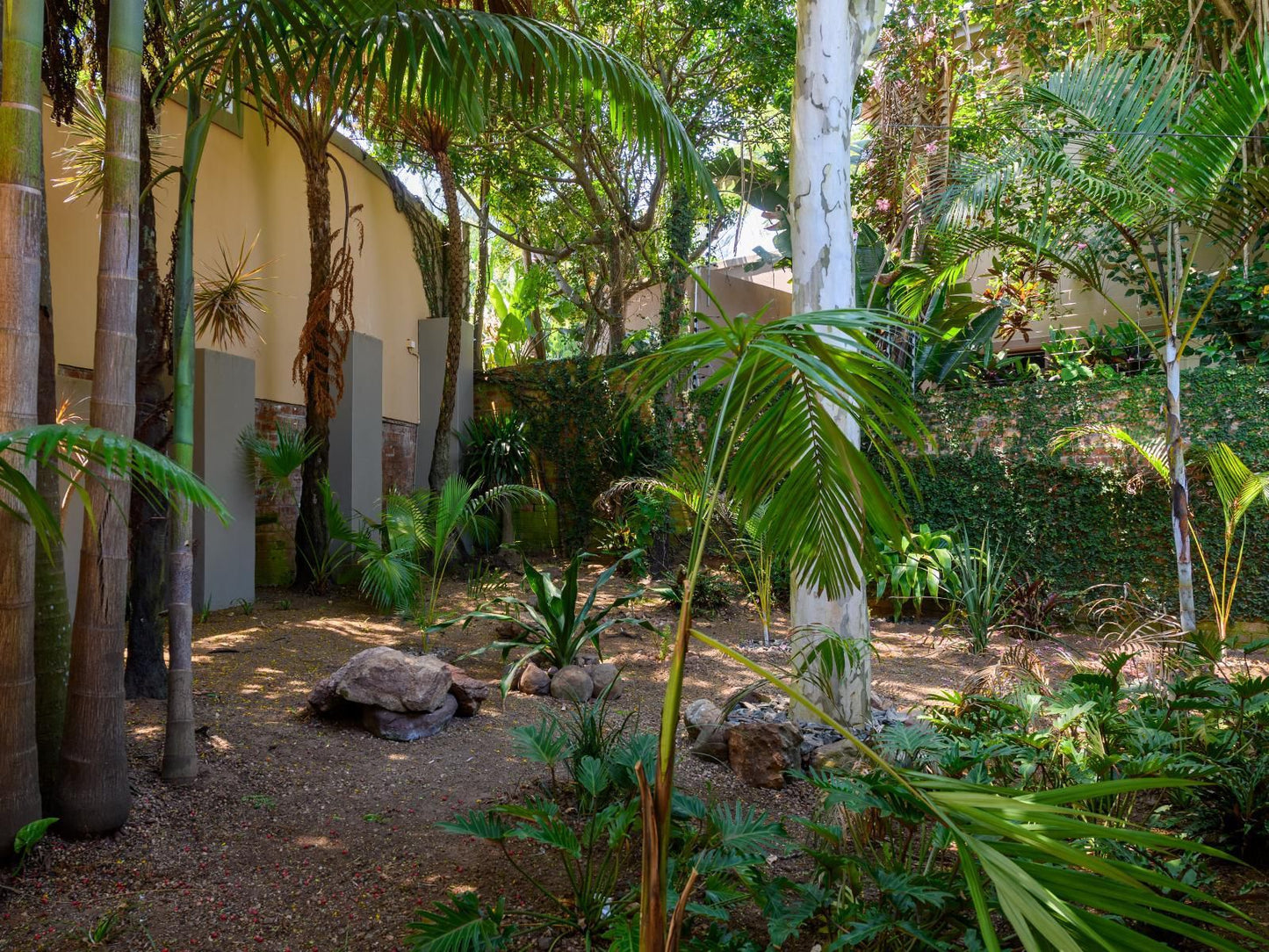 The Fairways Salt Rock Ballito Kwazulu Natal South Africa Palm Tree, Plant, Nature, Wood, Garden