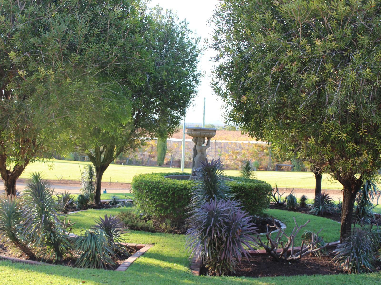 The Falls Guest House, Palm Tree, Plant, Nature, Wood, Garden