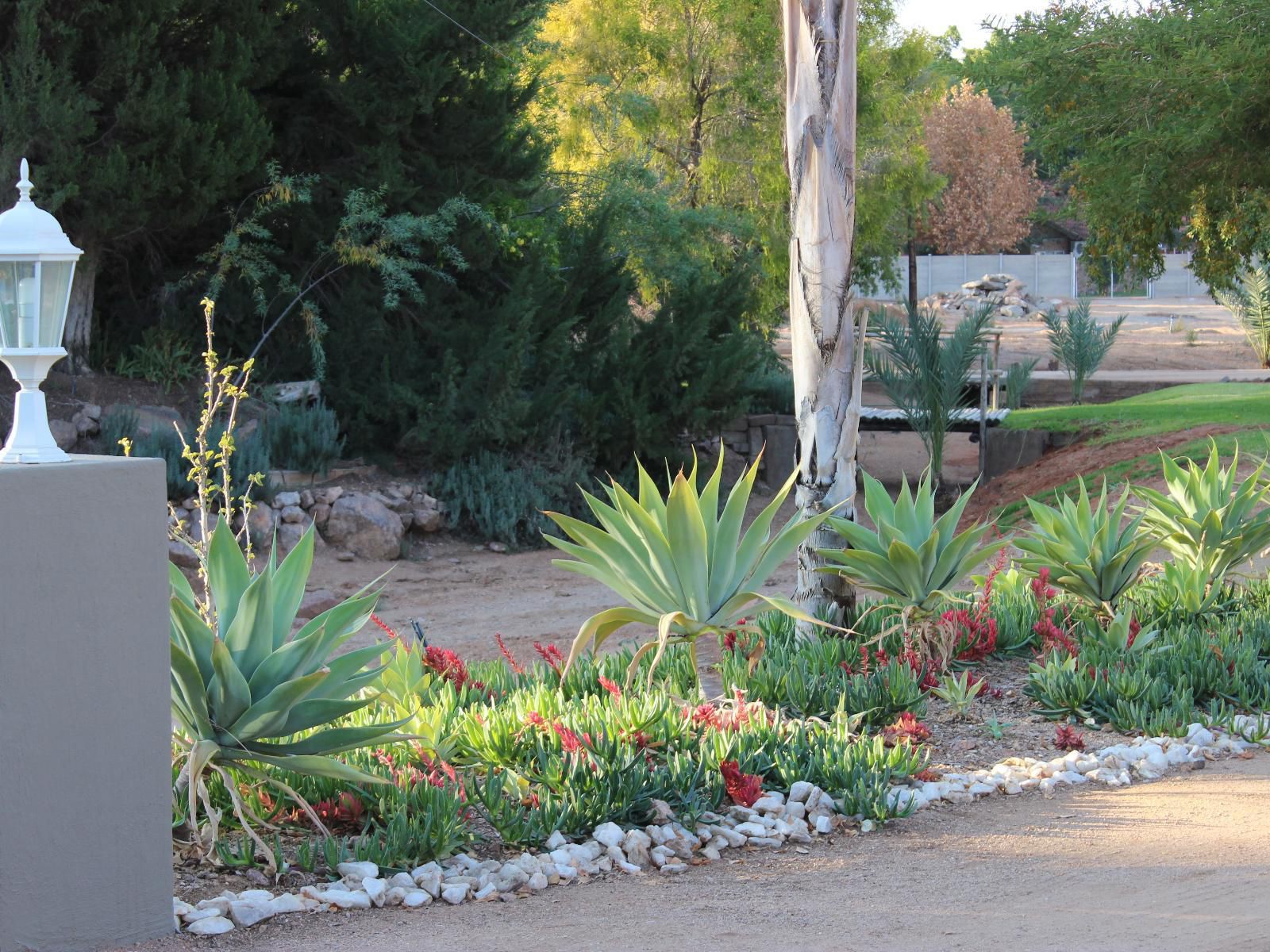 The Falls Guest House, Plant, Nature, Garden