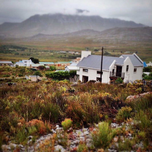 The Fynbos House Pringle Bay Western Cape South Africa Mountain, Nature, Highland