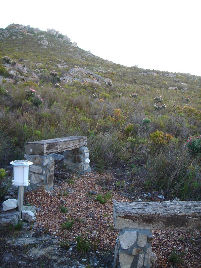 The Fynbos House Pringle Bay Western Cape South Africa Unsaturated, Nature