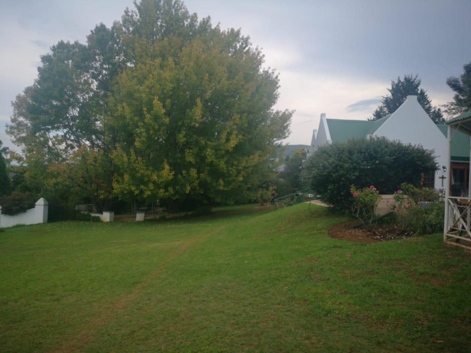 The Gables-Clarens, Tree, Plant, Nature, Wood