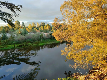 The Gaia Sanctuary, River, Nature, Waters, Tree, Plant, Wood, Autumn