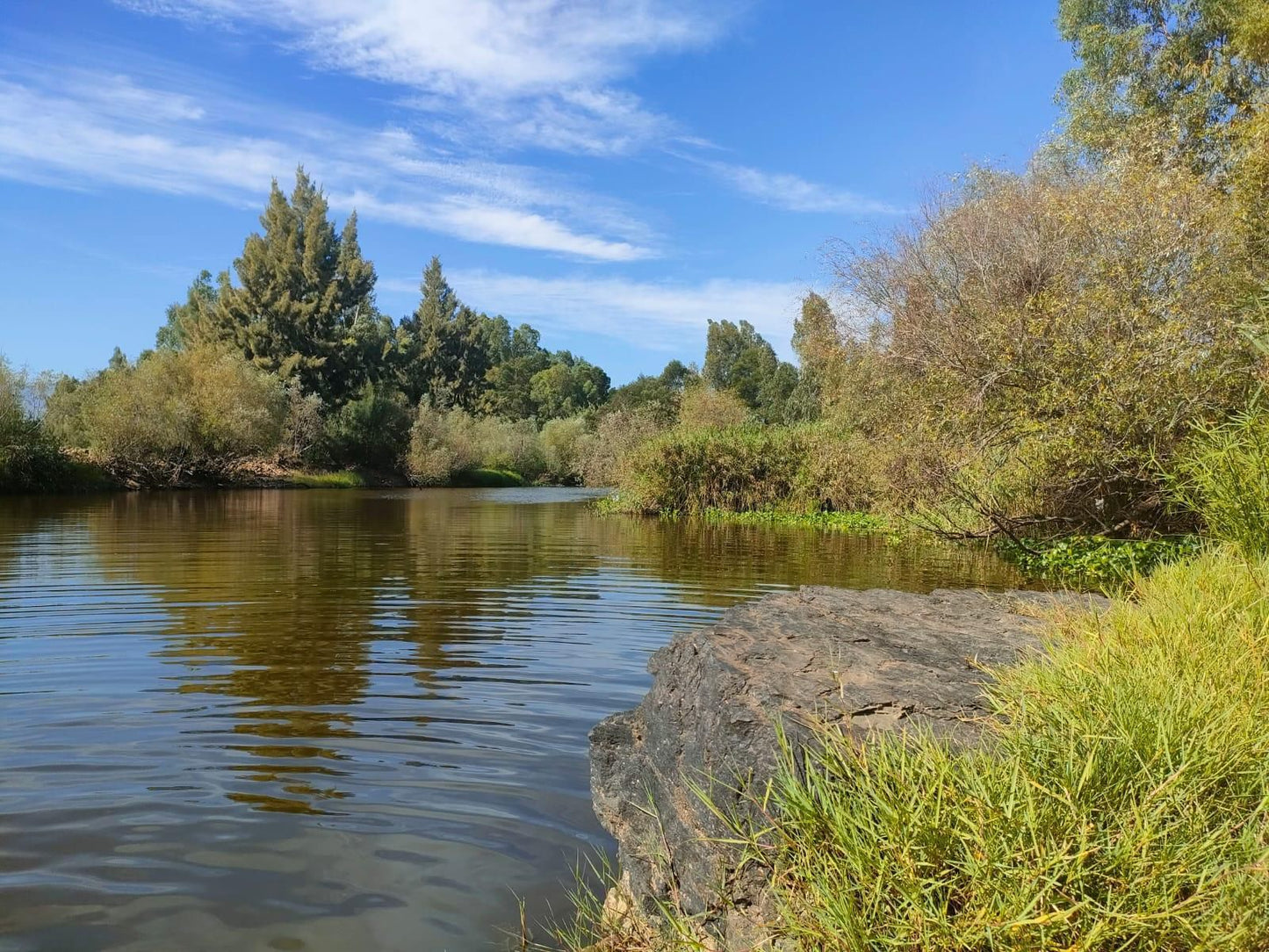 The Gaia Sanctuary, River, Nature, Waters