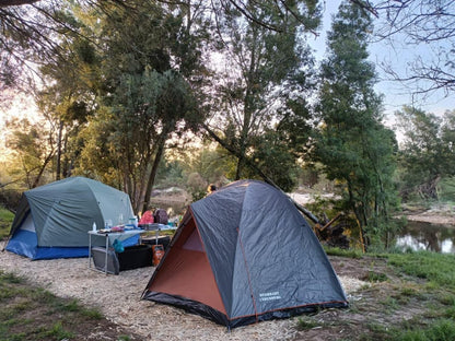 The Gaia Sanctuary, Gaia Family Campsite, Tent, Architecture