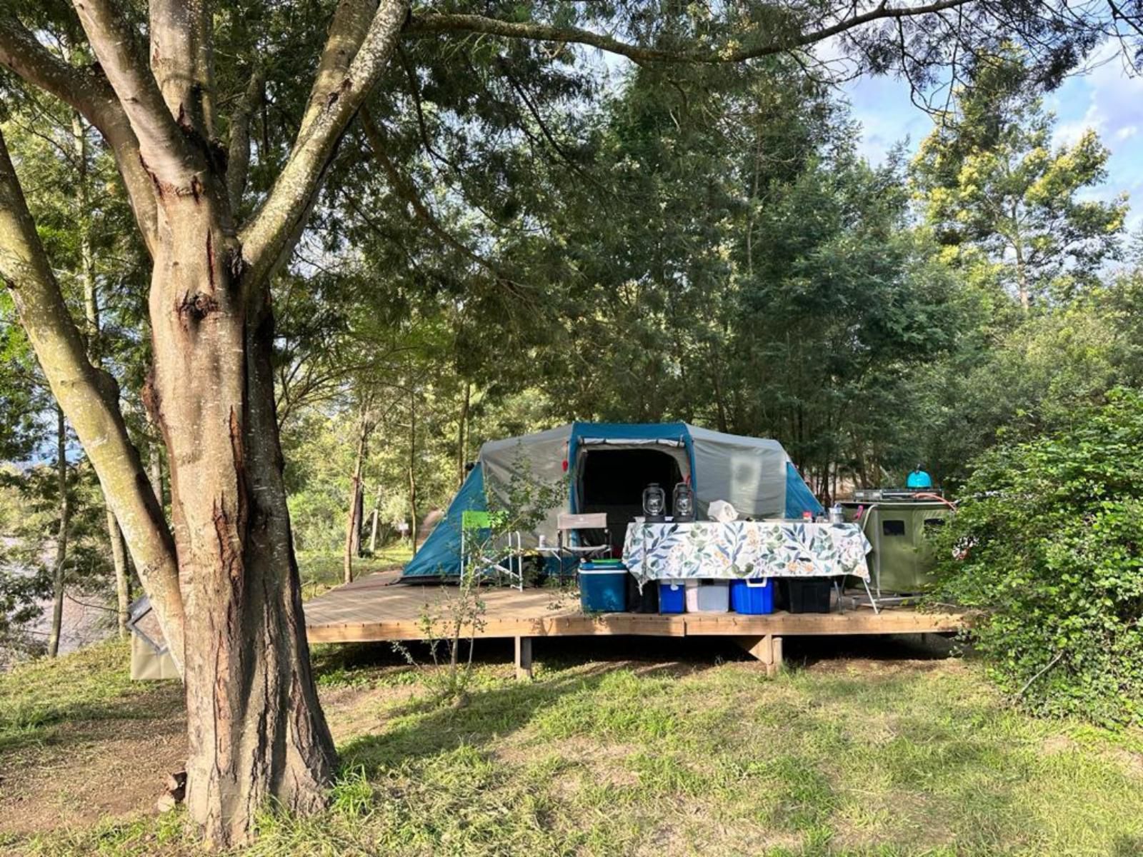 The Gaia Sanctuary, Wooden deck campsite, Forest, Nature, Plant, Tree, Wood, Tent, Architecture