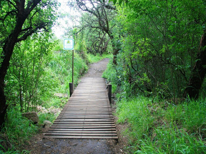 The Gate Guesthouse Clarens Free State South Africa Forest, Nature, Plant, Tree, Wood, Leading Lines