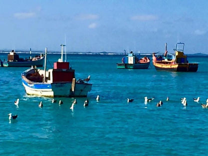 The Goose Nest Struisbaai Western Cape South Africa Colorful, Boat, Vehicle, Beach, Nature, Sand, Ocean, Waters