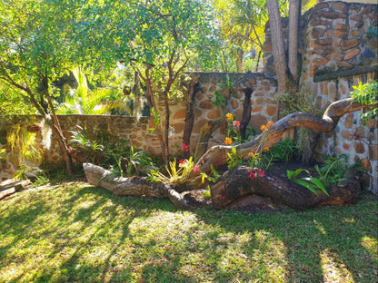 The Green Lizard Guesthouse, Palm Tree, Plant, Nature, Wood, Reptile, Animal, Garden