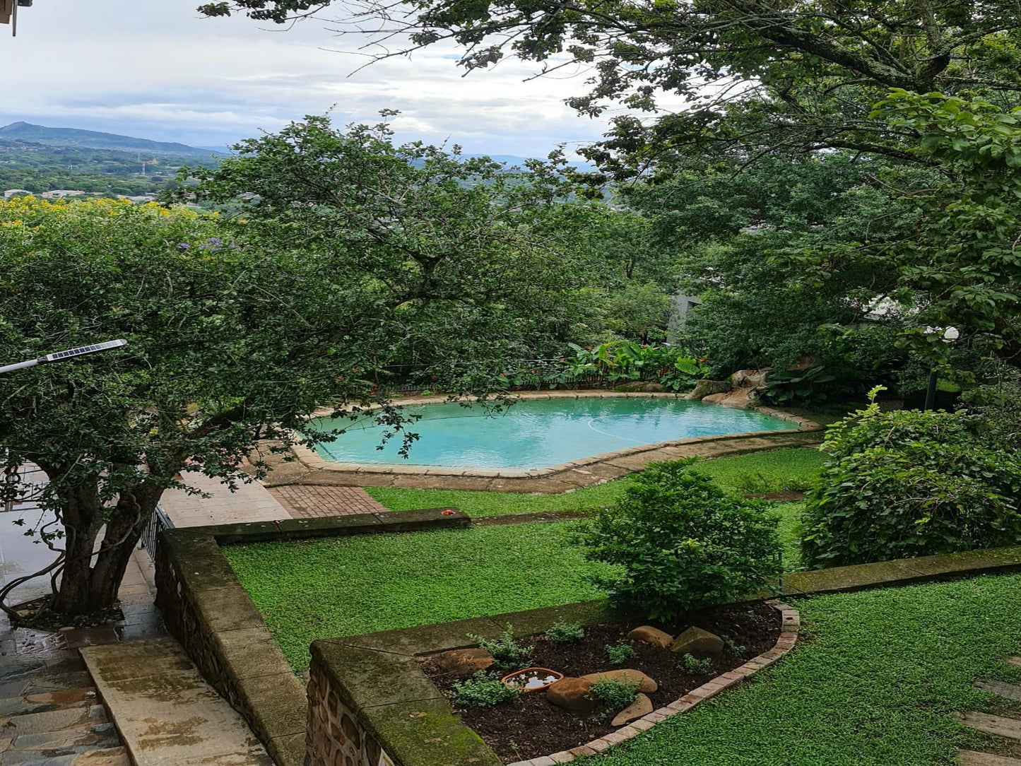 The Green Lizard Guesthouse, Garden, Nature, Plant, Swimming Pool