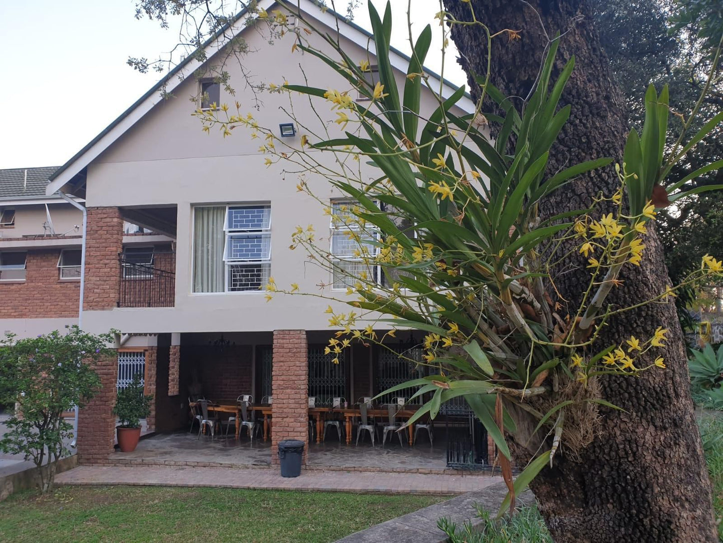 The Green Lizard Guesthouse, House, Building, Architecture, Palm Tree, Plant, Nature, Wood