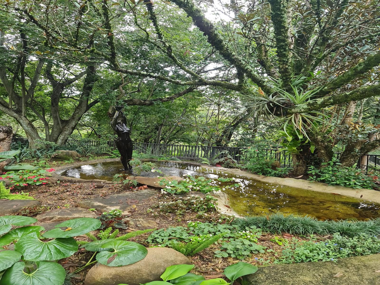 The Green Lizard Guesthouse, Plant, Nature, Reptile, Animal, Tree, Wood, Garden