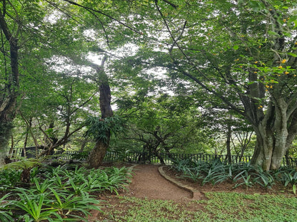 The Green Lizard Guesthouse, Plant, Nature, Tree, Wood, Garden