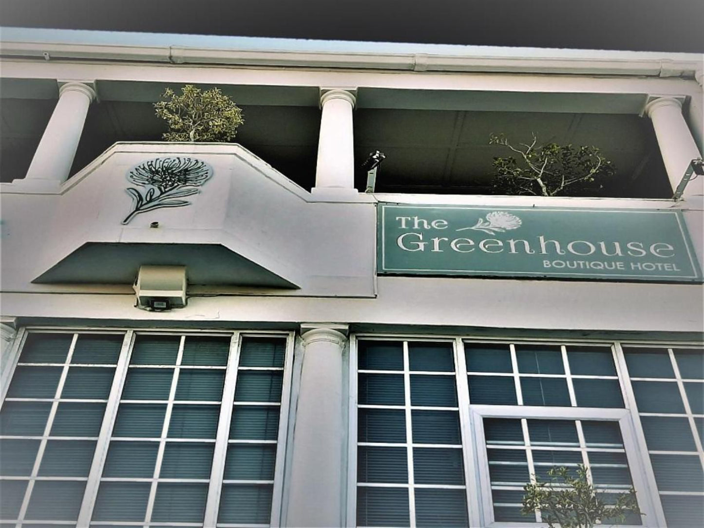 The Greenhouse Guesthouse Green Point Cape Town Western Cape South Africa Unsaturated, House, Building, Architecture, Sign