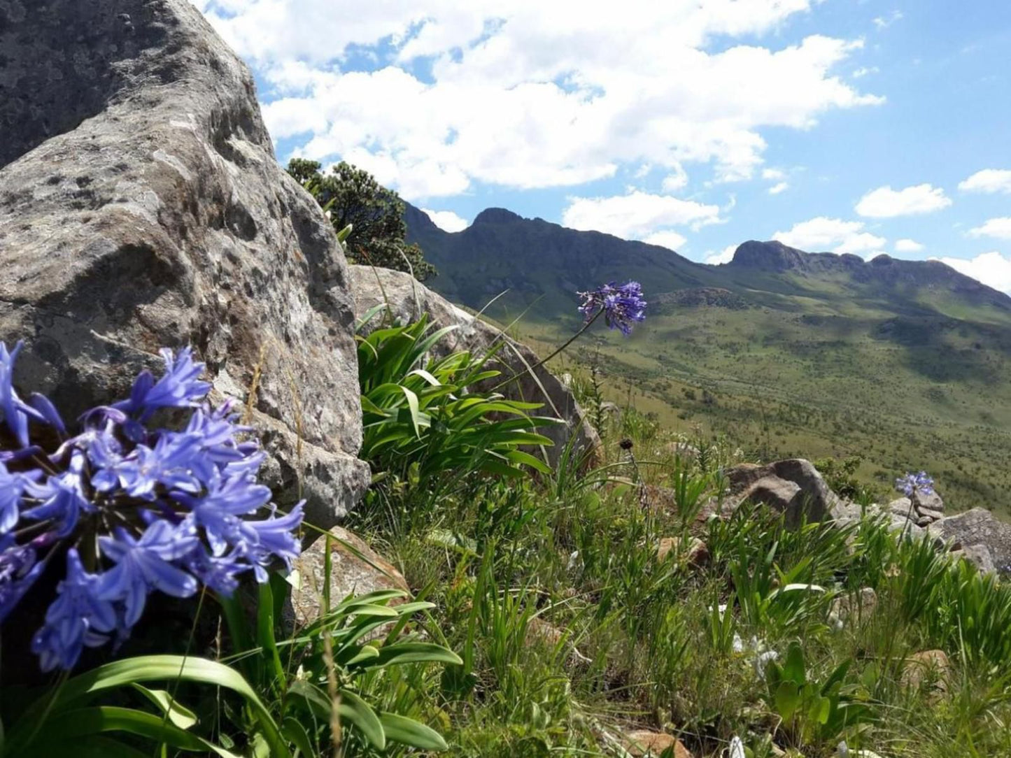 The Guesthouse Kokstad, Mountain, Nature, Highland