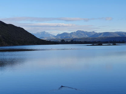 The Gull Myoli Beach Sedgefield Western Cape South Africa Lake, Nature, Waters, Mountain