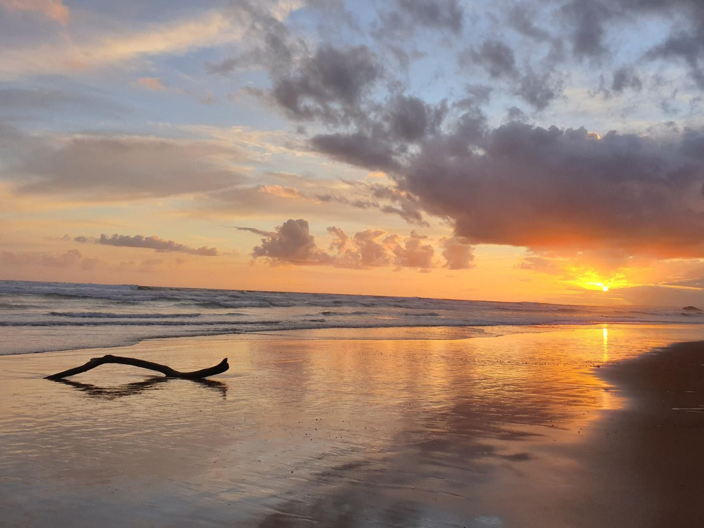 The Gull Myoli Beach Sedgefield Western Cape South Africa Beach, Nature, Sand, Sky, Surfboard, Water Sport, Ocean, Waters, Sunset