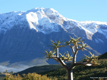 The Habit Guesthouse, Mountain, Nature