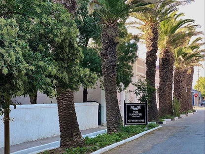 The Hanover Luxury Hotel, House, Building, Architecture, Palm Tree, Plant, Nature, Wood, Sign, Street