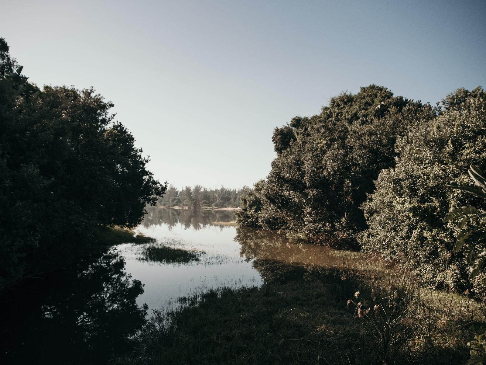 The Hatchery, River, Nature, Waters