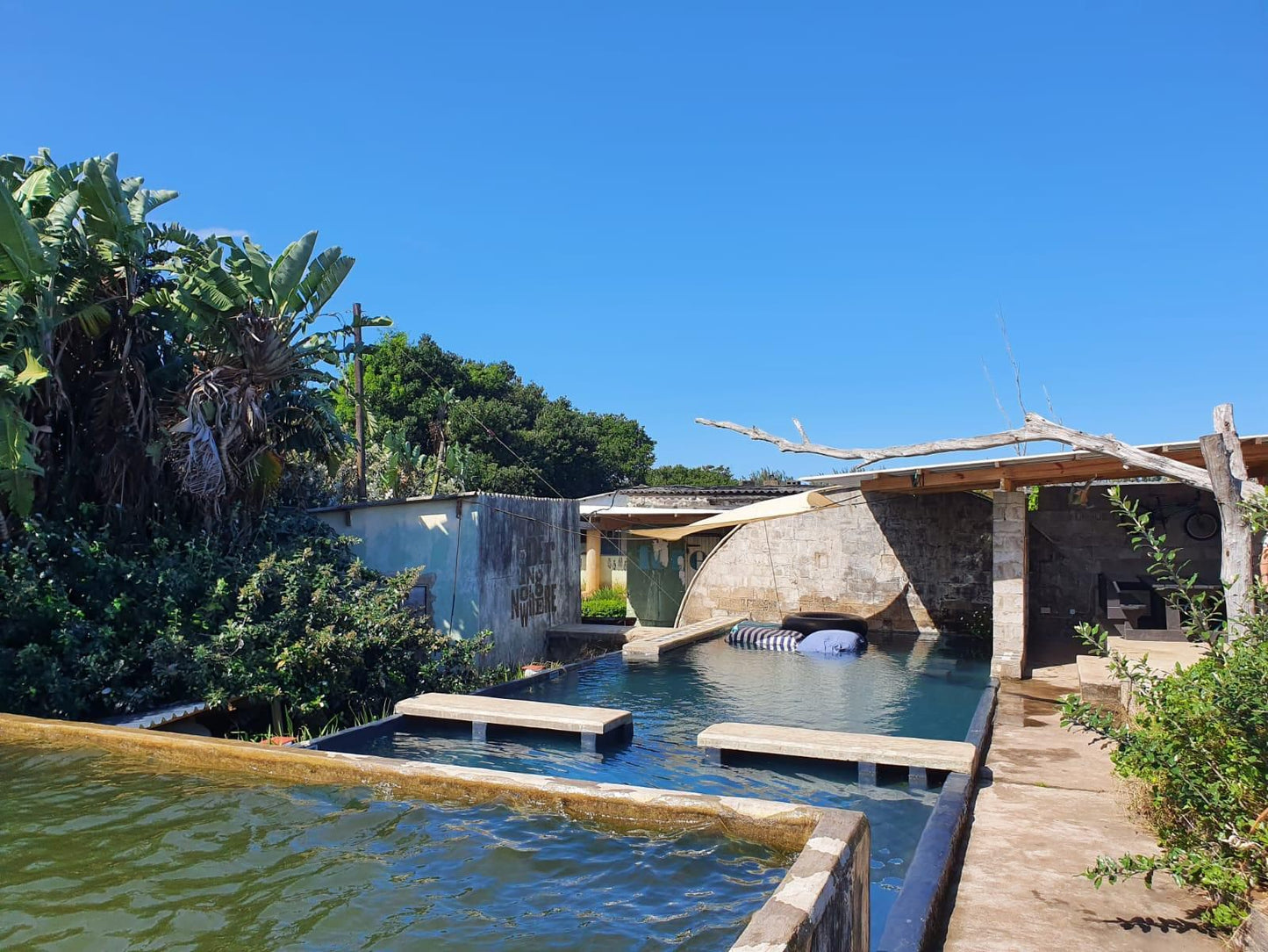 The Hatchery, Boat, Vehicle, Palm Tree, Plant, Nature, Wood, Swimming Pool