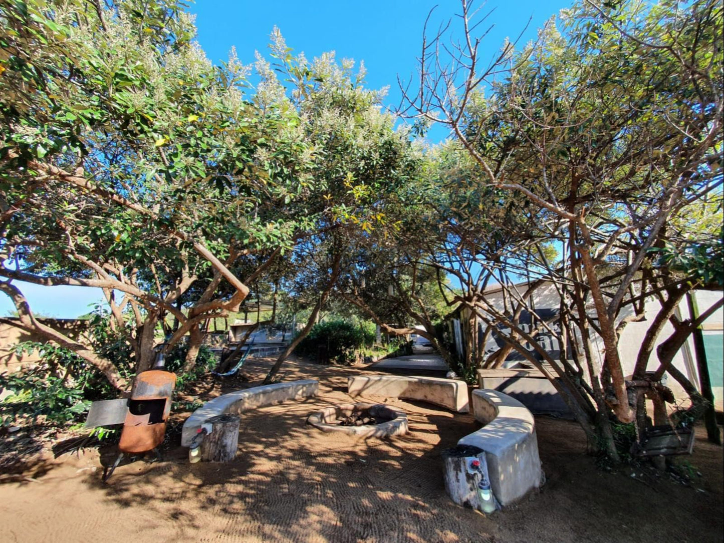 The Hatchery, Plant, Nature, Tree, Wood, Garden