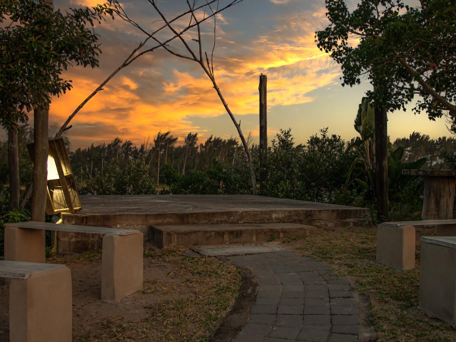 The Hatchery, Palm Tree, Plant, Nature, Wood, Sunset, Sky