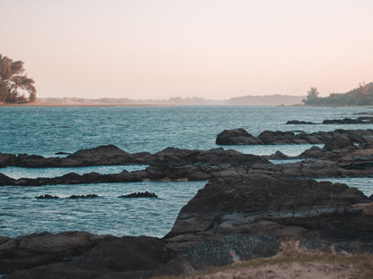 The Hatchery, Beach, Nature, Sand