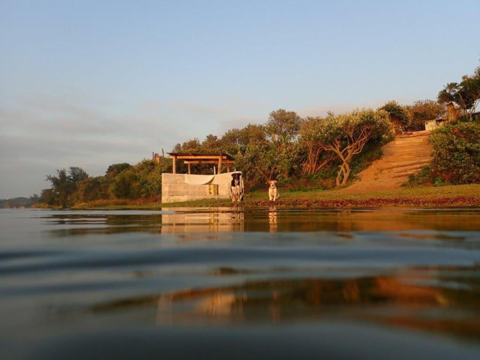 The Hatchery, River, Nature, Waters